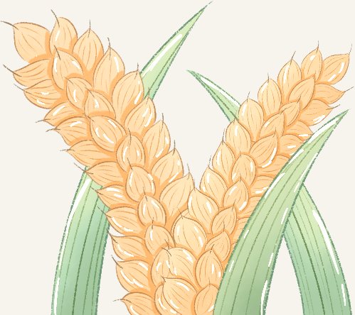 麦穗插画，秋收意象