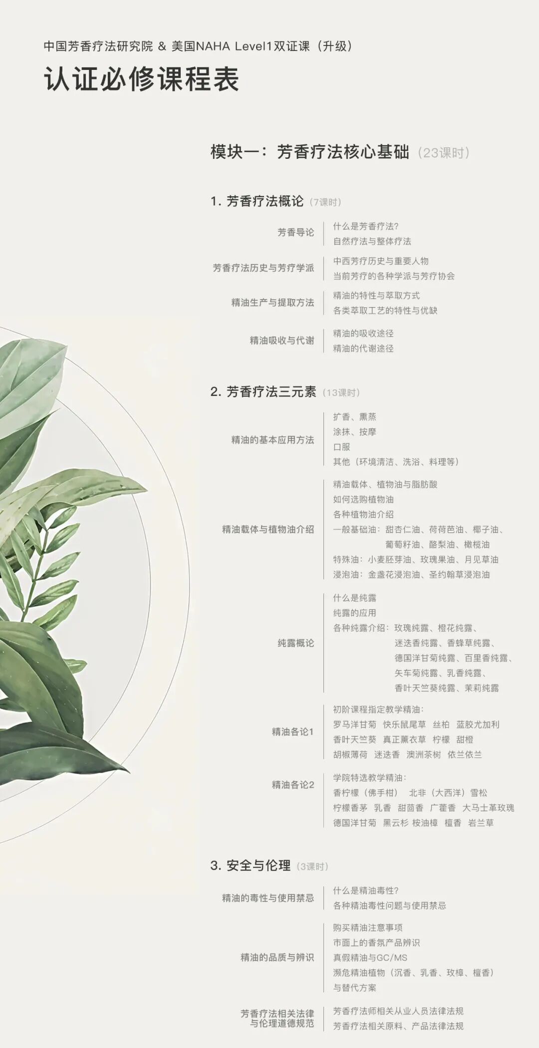 「转」招生 | 书香香愈生活学苑芳疗课程招生 · 图 19