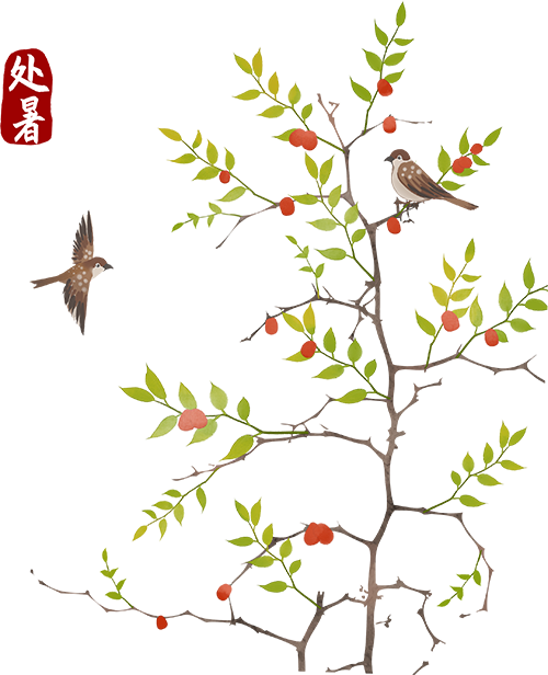 处暑|一缕草木香,一念留白,待秋安 · 图 17