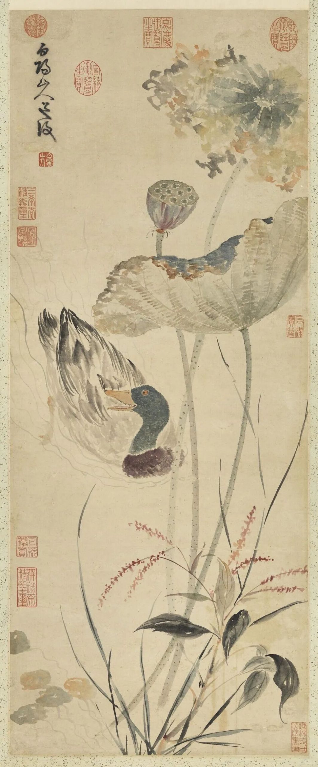 处暑|一缕草木香,一念留白,待秋安 · 图 21