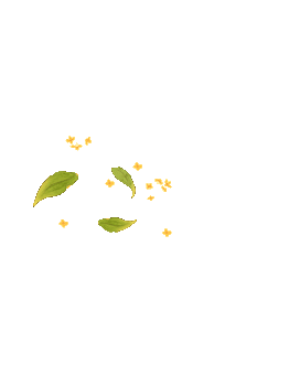 处暑|一缕草木香,一念留白,待秋安 · 图 29