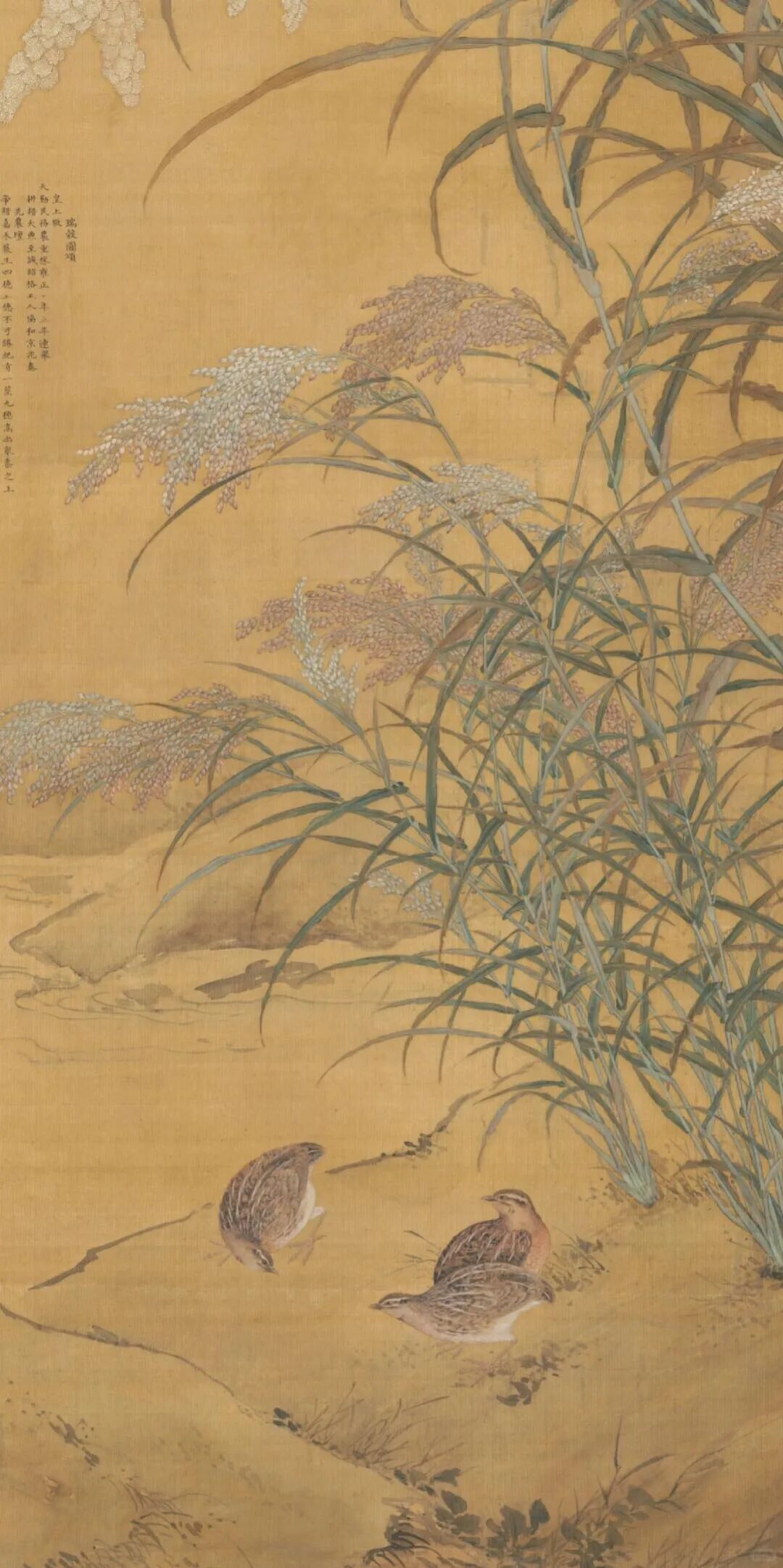白露润秋燥 闻香安身心 · 图 25