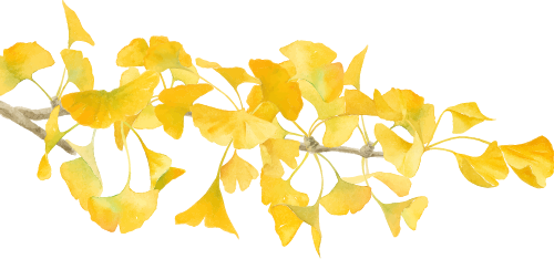 秋分|一炷清烟,一缕桂香,平分人间好时节 · 图 02