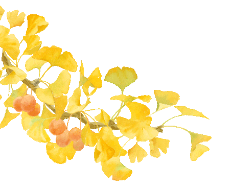 秋分|一炷清烟,一缕桂香,平分人间好时节 · 图 24