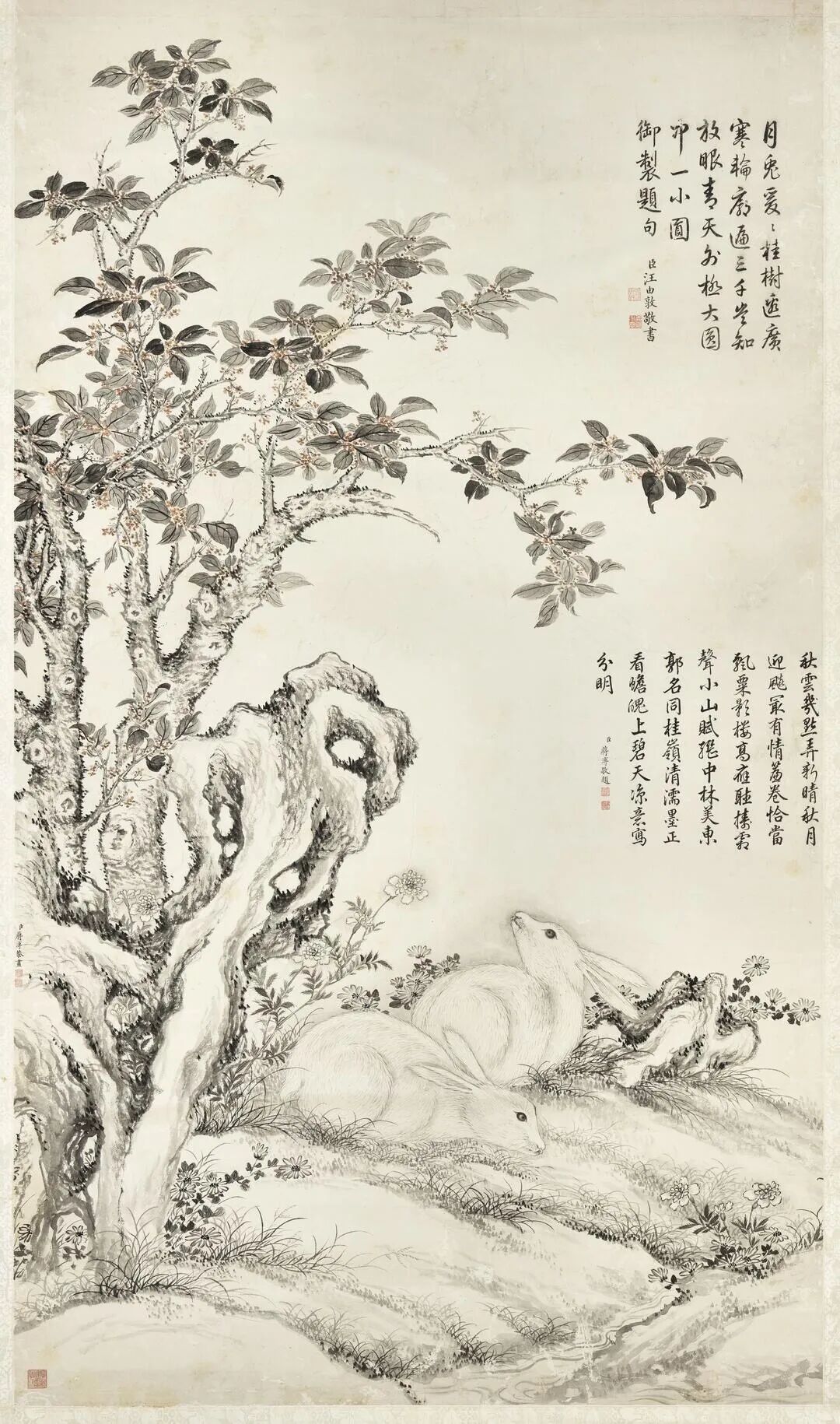 寒露丨秋深露重,最是人间桂香时 · 图 16