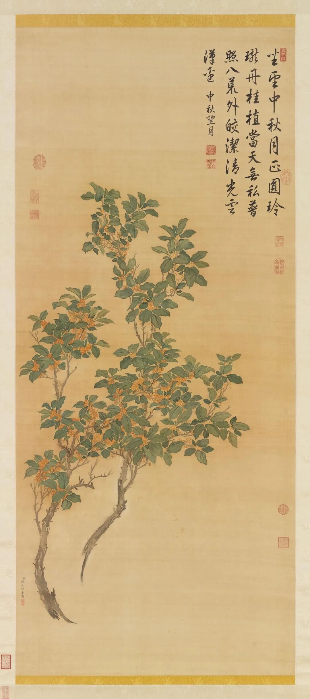 寒露丨秋深露重,最是人间桂香时 · 图 17